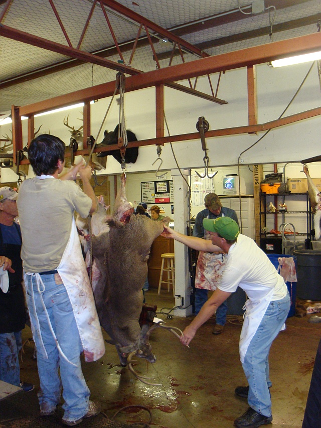 Joshua Deer Processing Season 20062015 Photos Pages