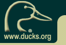 Visit Ducks.Org here