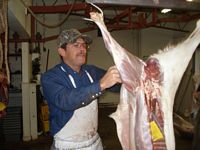 Joshua Deer Processing Skinner